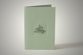 Mistletoe on Green Card